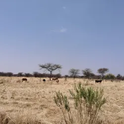 Otjiwarongo Golf Course - Otjiwarongo