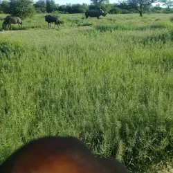 Otjiwarongo Golf Course - Otjiwarongo