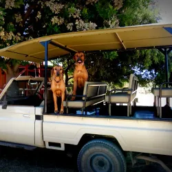 Waterberg Guest Farm - Otjiwarongo