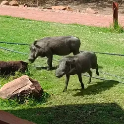 Waterberg Plateau Park - Otjiwarongo