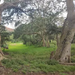 Waterberg Plateau Park - Otjiwarongo