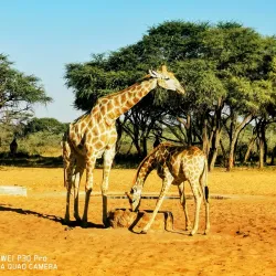 Waterberg Plateau Park - Otjiwarongo