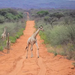 Waterberg Plateau Park - Otjiwarongo