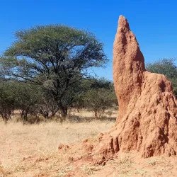 Waterberg Plateau Park - Otjiwarongo