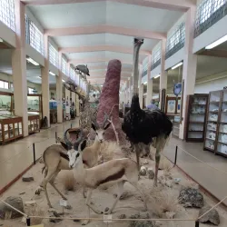 Alte Kaserne Museum - Swakopmund