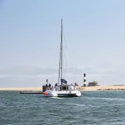 Dolphin Cruises - Swakopmund