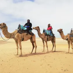 Namib Desert Adventures - Swakopmund