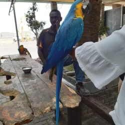 Namib Desert Adventures - Swakopmund