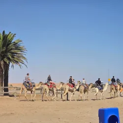 Namib Desert Adventures - Swakopmund