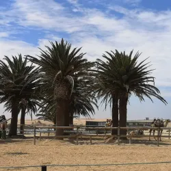 Namib Desert Adventures - Swakopmund