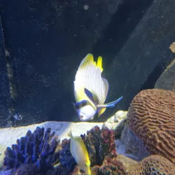 National Marine Aquarium of Namibia - Swakopmund