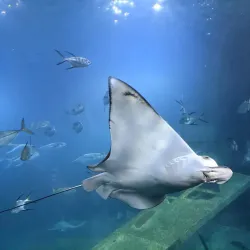 National Marine Aquarium of Namibia - Swakopmund