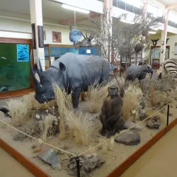 Swakopmund Museum - Swakopmund