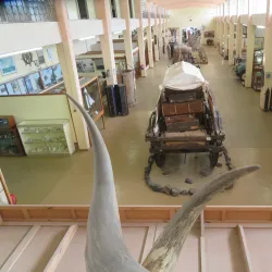 Swakopmund Museum - Swakopmund