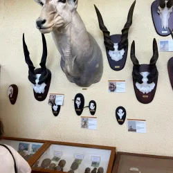 Swakopmund Museum - Swakopmund