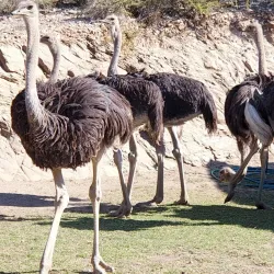 Daan Viljoen Game Reserve - Windhoek