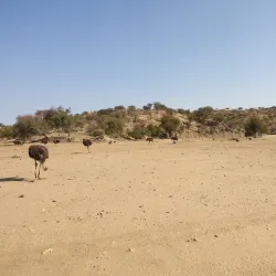Daan Viljoen Game Reserve - Windhoek