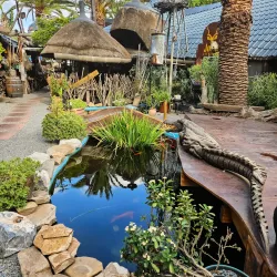 Joe's Beer House - Windhoek