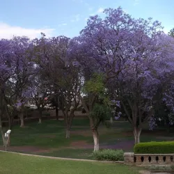 Tintenpalast (Ink Palace) - Windhoek