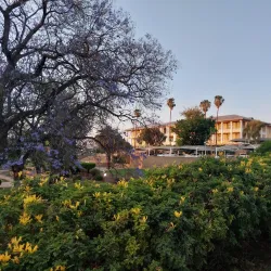 Tintenpalast (Ink Palace) - Windhoek