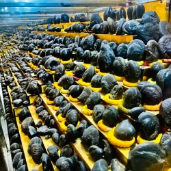 Baglung Museum - Baglung