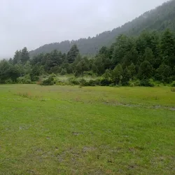 Dhorpatan Hunting Reserve - Baglung