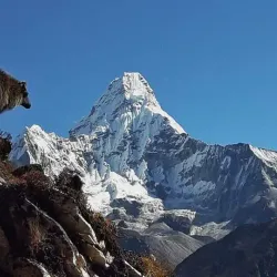 Dhorpatan Hunting Reserve - Baglung