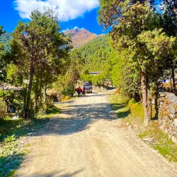 Dhorpatan Hunting Reserve - Baglung