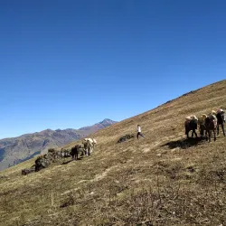 Dhorpatan Hunting Reserve - Baglung