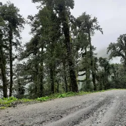 Nisikhola Waterfall - Baglung