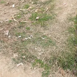 Local Market - Banepa