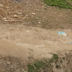 Local Market - Banepa