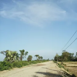 Kachorwa Wetlands - Bara