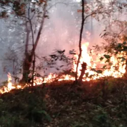 Parsa National Park - Bara