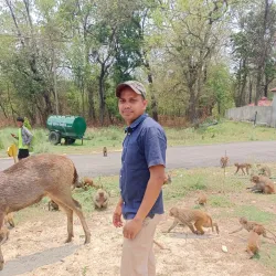 Parsa National Park - Bara