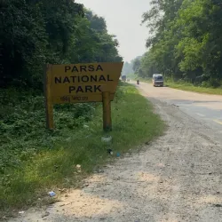 Parsa National Park - Bara