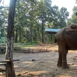 Parsa National Park - Bara