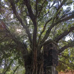 Simraungadh Fort - Bara