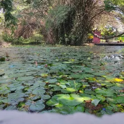 Local Temples - Bardibas