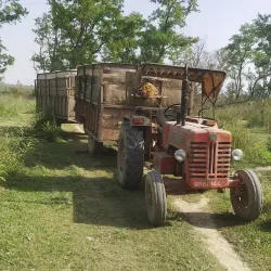 Terai Plains - Bardibas