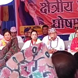 Bhadrapur Market - Bhadrapur