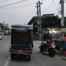 Bhadrapur Market - Bhadrapur