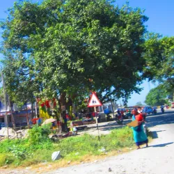 Buddha Park - Bhadrapur