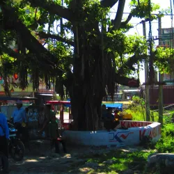 Buddha Park - Bhadrapur