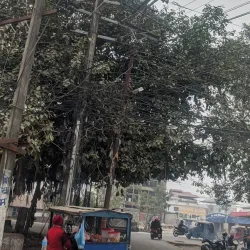 Buddha Park - Bhadrapur