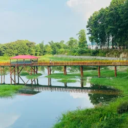 Jhapa Community Forest - Bhadrapur