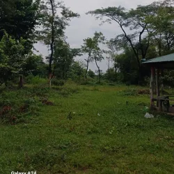 Jhapa Community Forest - Bhadrapur