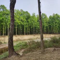 Jhapa Community Forest - Bhadrapur