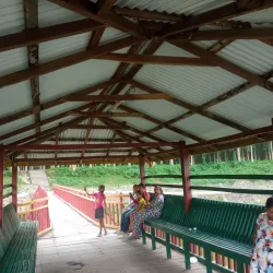 Jhapa Community Forest - Bhadrapur