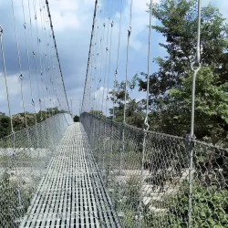 Jhapa Community Forest - Bhadrapur